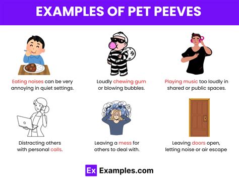 pet peeve definition|lists of pet peeves.